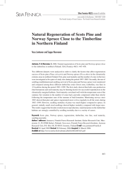 Natural regeneration of Scots pine and Norway spruce close to the