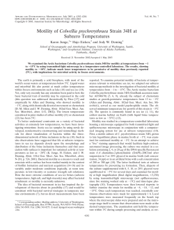 Motility of Colwellia psychrerythraea Strain 34H at Subzero