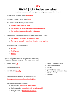 KEY PHYSIO | Joint Review Worksheet