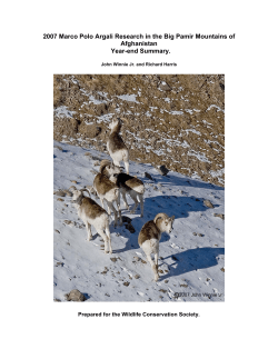 2007 Marco Polo Argali Research in the Big Pamir Mountains of