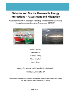 Fisheries and Marine Renewable Energy Interactions