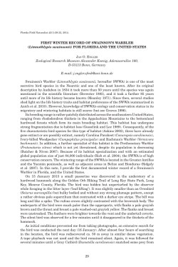 29 First winter record oF swainson`s warbler (Limnothlypis