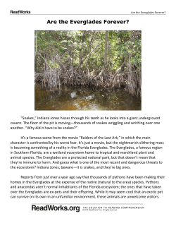 Are the Everglades Forever?