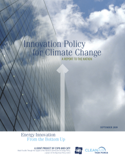 Innovation Policy for Climate Change