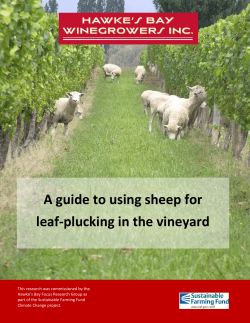 A guide to using sheep for leaf-plucking in the