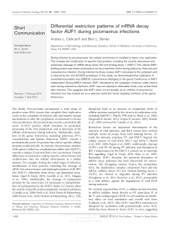 Differential restriction patterns of mRNA decay factor AUF1 during