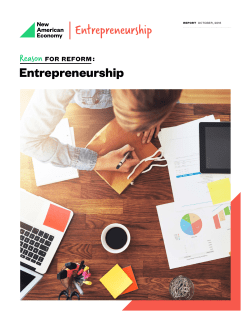 Reason for Reform: Entrepreneurship