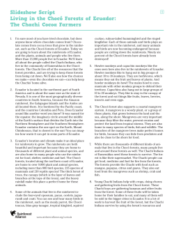 here - Rainforest Alliance