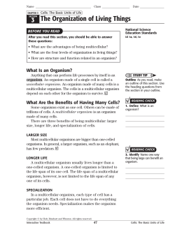 3 The Organization of Living Things
