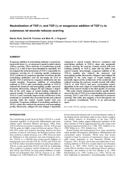 Neutralisation of TGF-&beta;1 and TGF-&beta;2 or exogenous addition of TGF