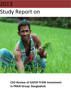 CSO Annex Report on PRAN Bangladesh