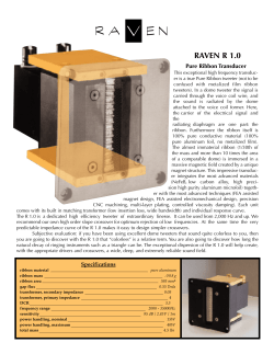 raven r 2.0