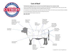 Beef Cuts Diagram