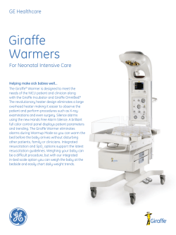 Giraffe Warmer spec english