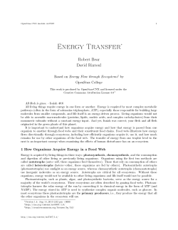 Energy Transfer