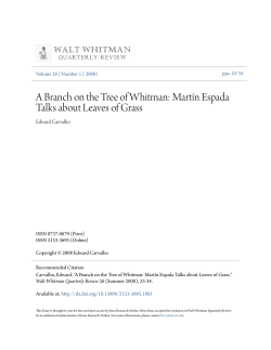 A Branch on the Tree of Whitman