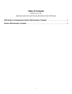Section 508 Evaluation Template