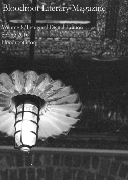Click here - Bloodroot Literary Magazine