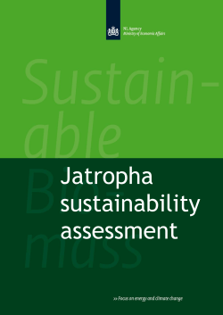 Jatropha analysis in three countries