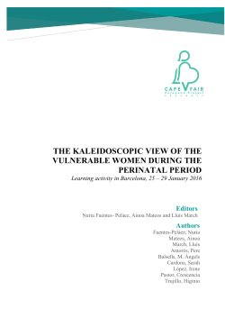 The kaleidoscopic view_V2_def