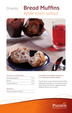 Bread Muffins