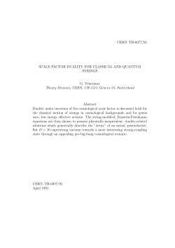 CERN&ndash;TH-6077/91 SCALE FACTOR DUALITY FOR