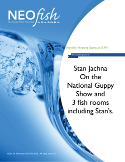 Stan Jachna On the National Guppy Show and 3 fish rooms