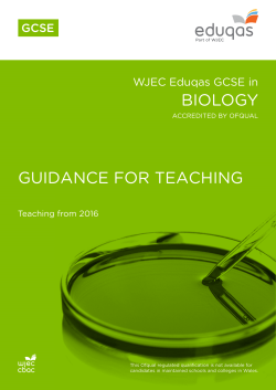 Guidance for Teaching pdf | GCSE