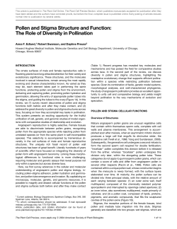 Pollen and Stigma Structure and Function: The Role