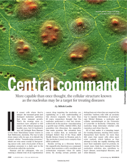 More capable than once thought, the cellular structure known as the