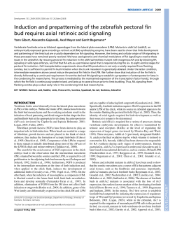 Induction and prepatterning of the zebrafish pectoral fin bud