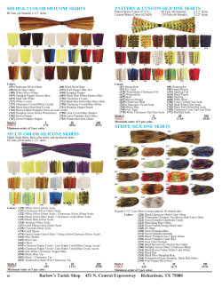 48-56 Skirts 2016