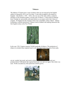 Tobacco - Stafford County Museum