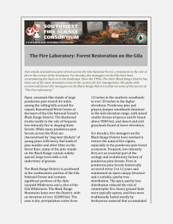 The Fire Laboratory: Forest Restoration on the Gila