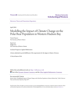 Modelling the Impact of Climate Change on the Polar Bear