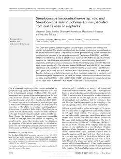 Streptococcus loxodontisalivarius sp. nov. and Streptococcus