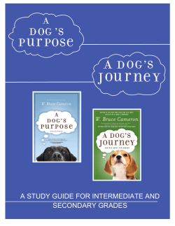 A STUDY GUIDE FOR INTERMEDIATE AND SECONDARY GRADES
