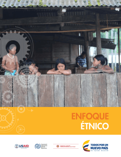 enfoque &eacute;tnico - Unidad de victimas