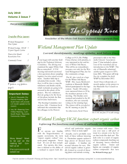 July - White Oak Bayou