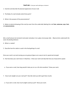 Snail Lab - davis.k12.ut.us