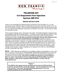 TELORVEK EFI 4.6 Sequential Fuel Injection System MK-97A