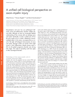 A unified cell biological perspective on axon&ndash;myelin injury
