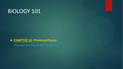 Lecture 12 Notes CH.10