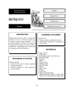 Seed Respiration - Biology Junction