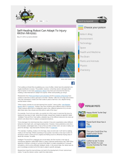 IFL Science - Evolving AI Lab