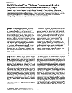 The NC1 Domain of Type IV Collagen Promotes Axonal Growth in