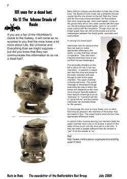 2005-7 the mouse oracle of Baule