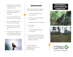 Improving Habitat for Northern Bobwhite Quail in Southeast Texas