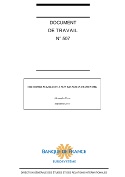 document de travail n&deg; 507