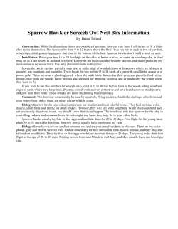 Sparrow Hawk or Screech Owl Nest Box Information